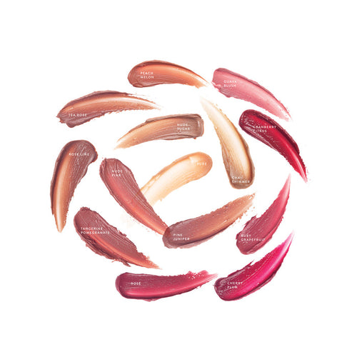 Tasting Plates: Lip Nourish Natural Lipstick Shade Samples