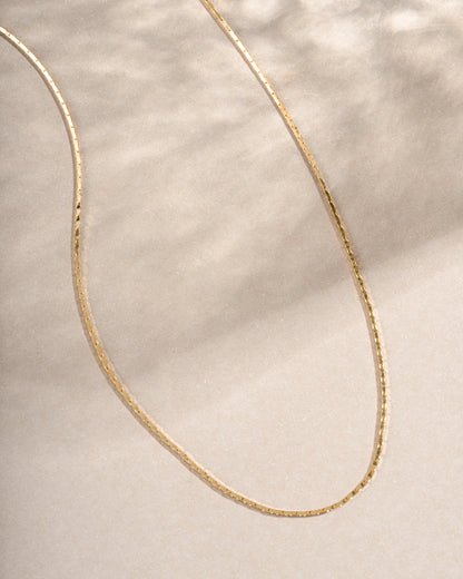 Thin Chain Necklace