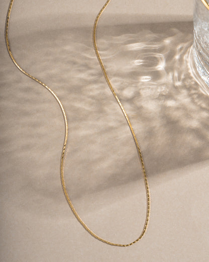 Thin Chain Necklace