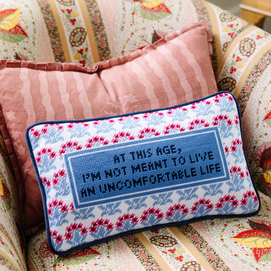 Uncomfortable Needlepoint Pillow